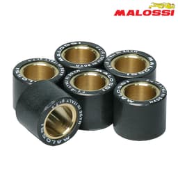 ROLNI 16X13-10 MALOSSI***