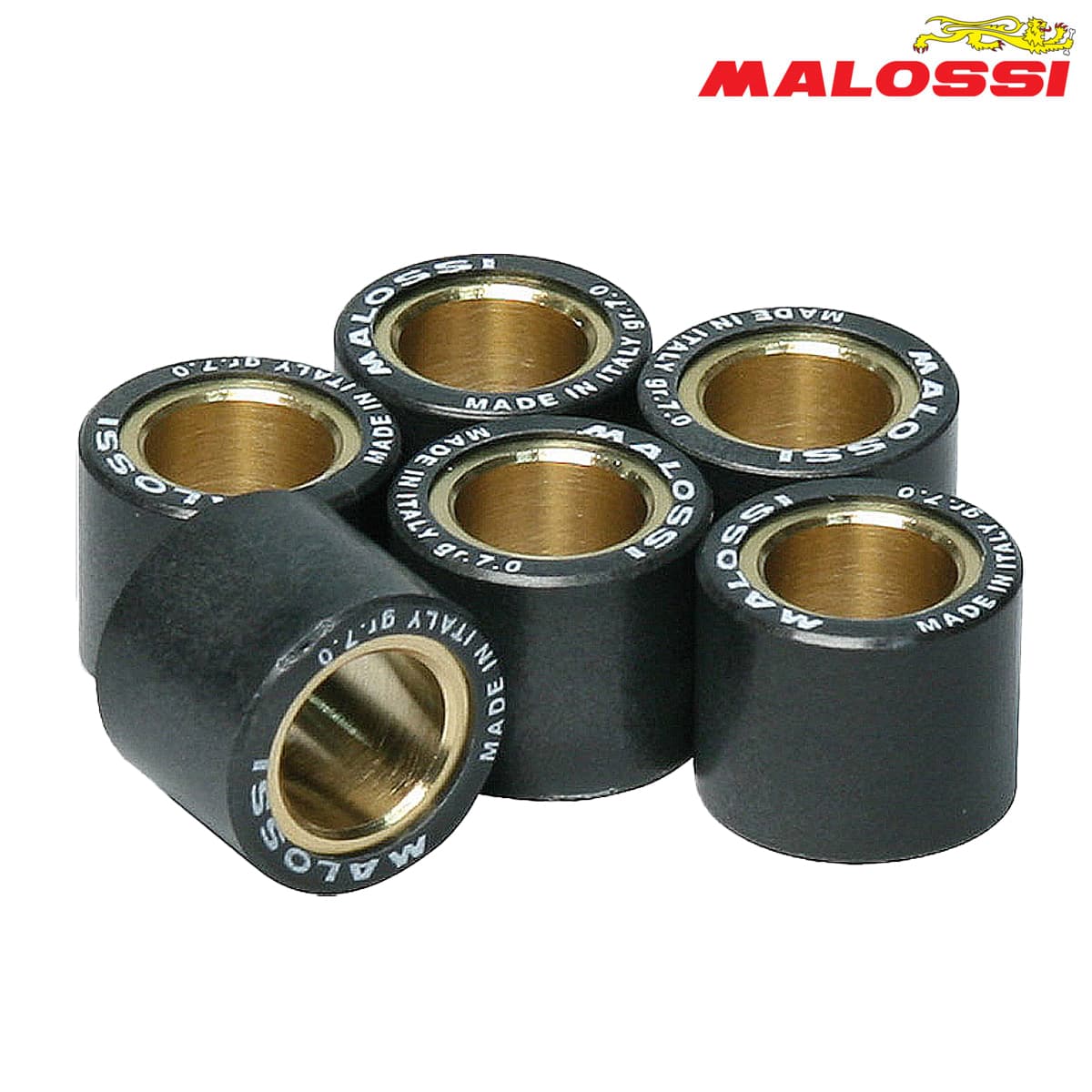 ROLNI 16X13-10 MALOSSI***