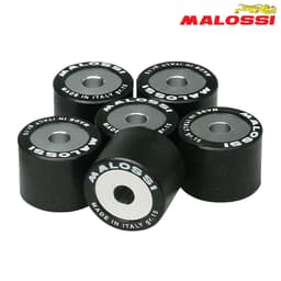 ROLNI 23X18-27 MALOSSI***