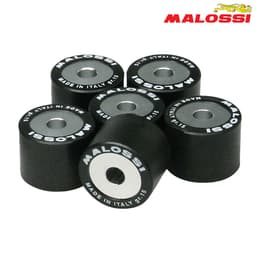 ROLNI 23X18-12 MALOSSI***