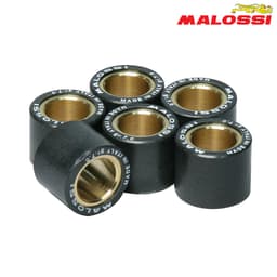 ROLNI 20X12-14 MALOSSI set-6***