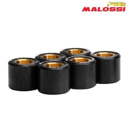 ROLNI 20X17-17 MALOSSI***