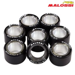 ROLNI 25X15,9-15 MALOSSI***
