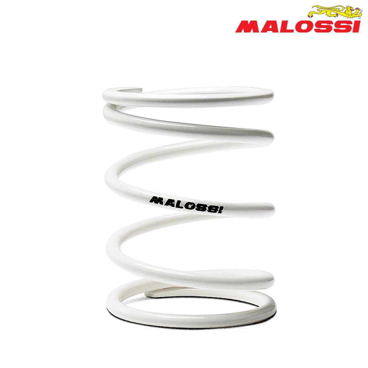 FEDER KAISNICA BEL MALOSSI***