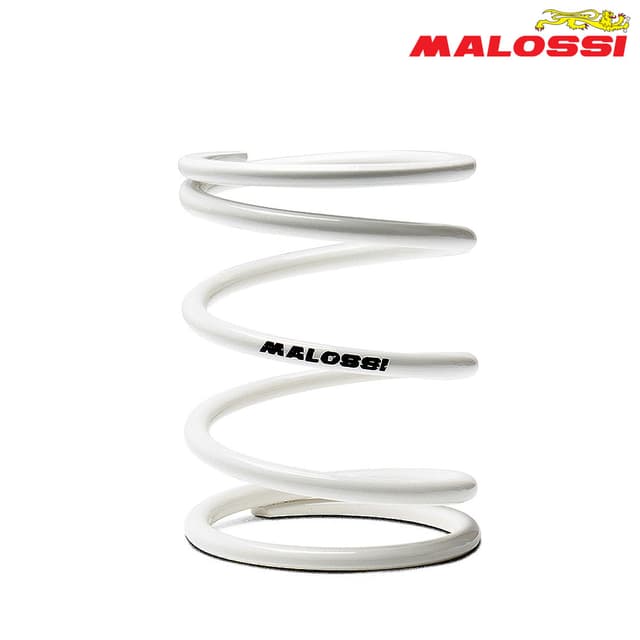 FEDER KAISNICA BEL MALOSSI***