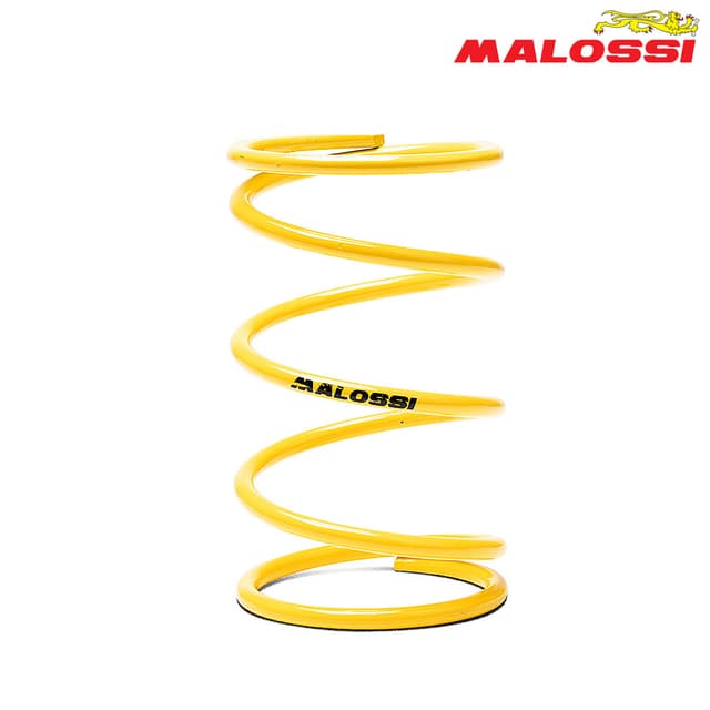 FEDER KAISNICA ZOLT MALOSSI***