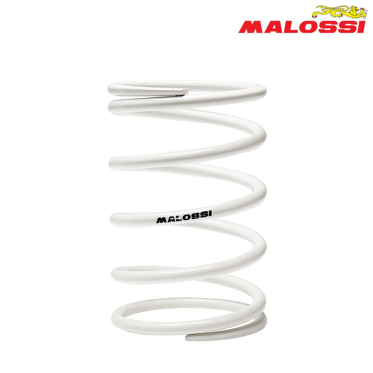 FEDER KAISNICA BEL MALOSSI***