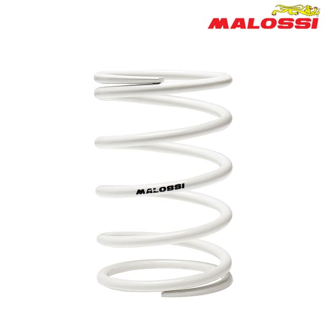 FEDER KAISNICA BEL MALOSSI***