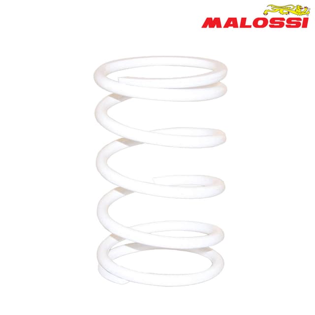 FEDER KAISNICA BEL MALOSSI***