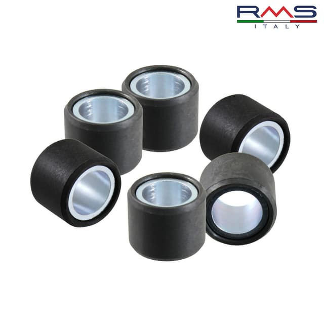 ROLNI 19X15,5-5,3 100450530 100450532 RMS ITALY*