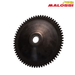 ZAMAEC VARIJATOR PIAGGIO MALOSSI***