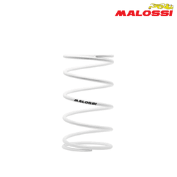FEDER KAISNICA BEL GY6 50 60 80 100 5% 2912658.W0 MALOSSI*
