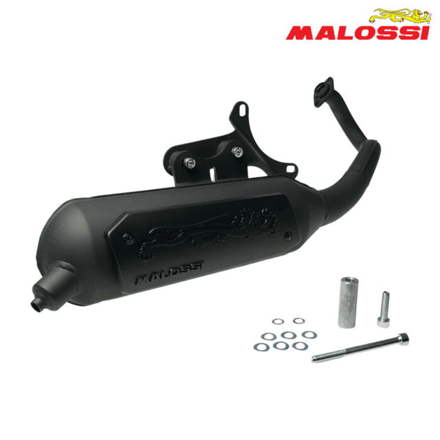 AUSPUH APRILIA SR FACTORY 50 PIAGGIO C361M WILD LION 3216582 MALOSSI ITALY