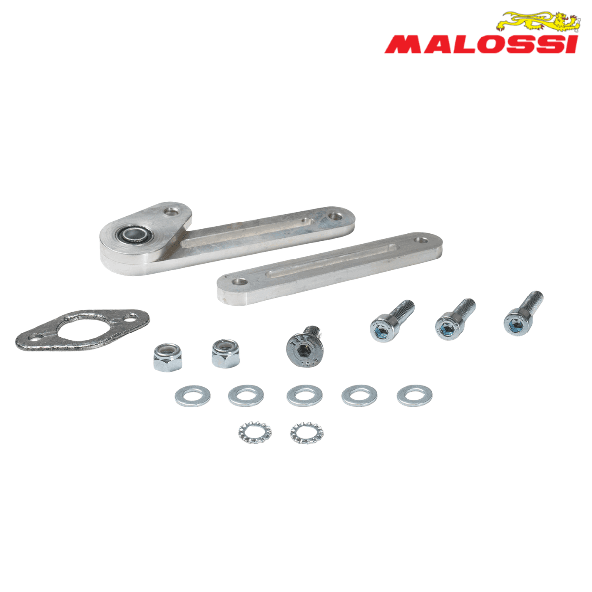 AUSPUH SPORTSKI YAMAHA AEROX YAMAHA JOG RR LC 50 MBK FLIP 3216691 MALOSSI ITALY 2