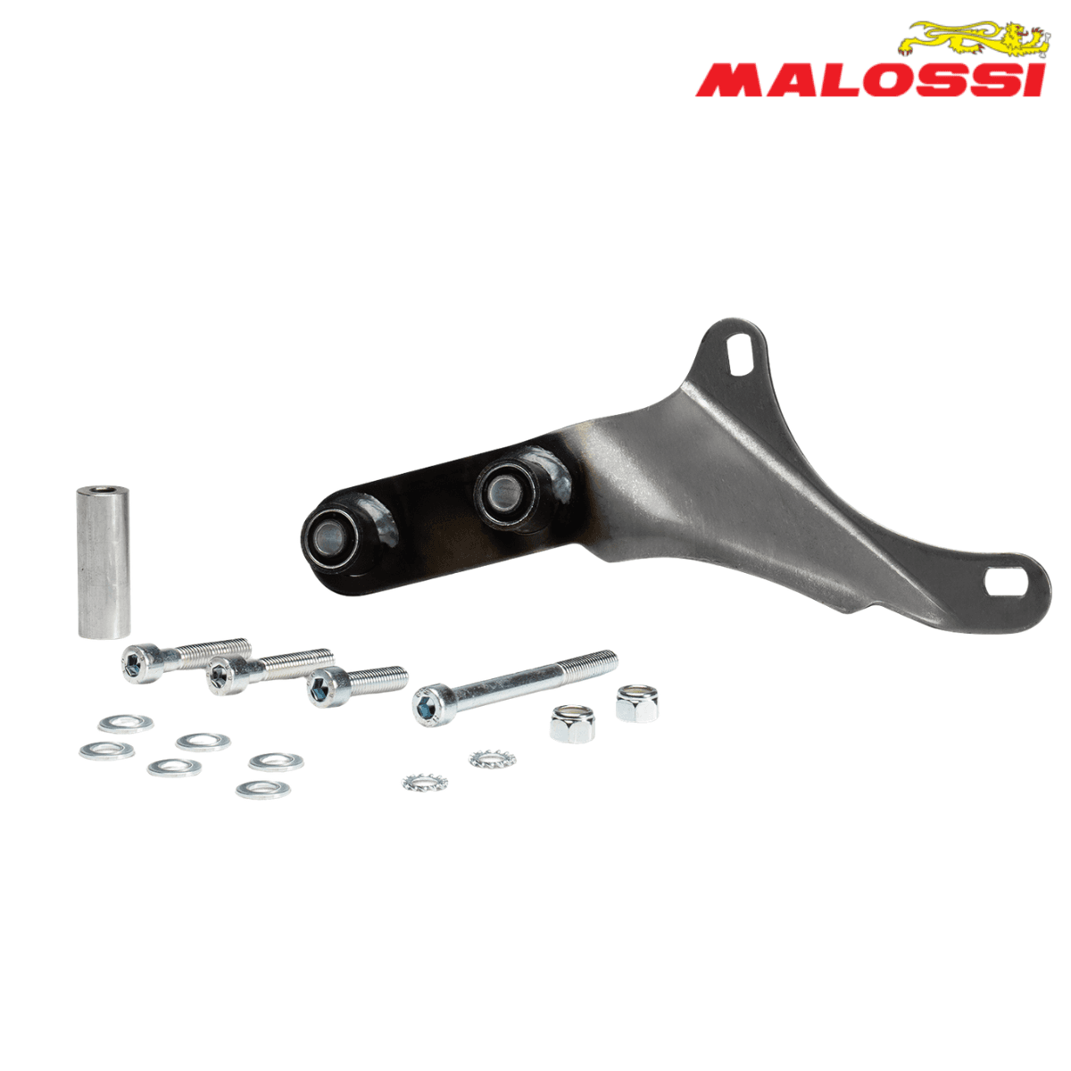 AUSPUH SPORTSKI APRILIA SR PIAGGIO C361M 3216694 MALOSSI ITALY* 3