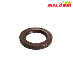SEMERING 30x47x6 PIAGGIO 50 6616199B MALOSSI***