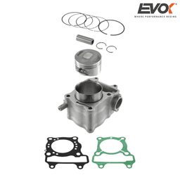 CILINDAR HONDA FES 07-09 NES 00-06 PES 06-10 SES 02-04 SH 01-12 150 58x14mm 100081020 EVOK ITALY*