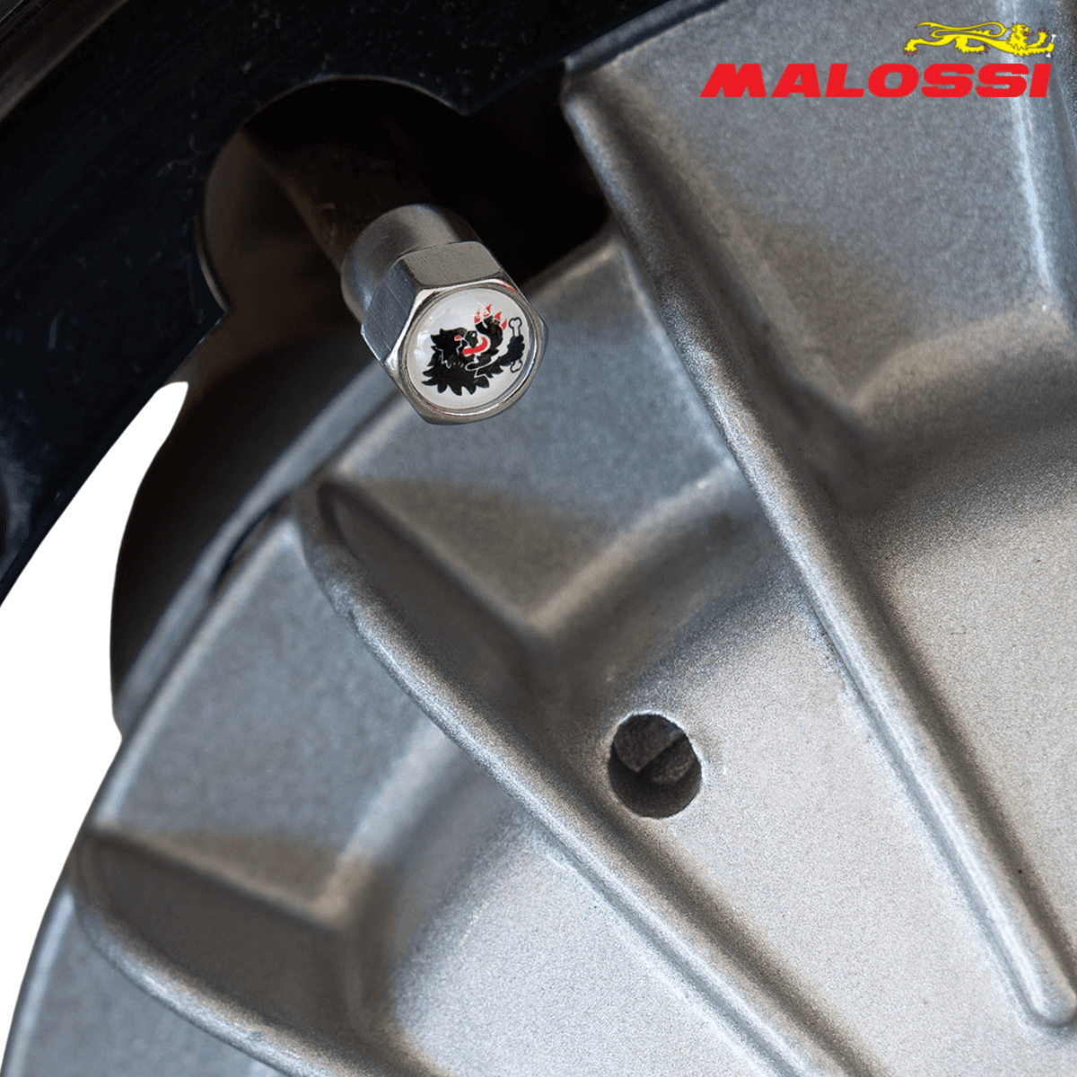 KAPACE ZIVANA SIVI SET 4213415.W0 MALOSSI* 2