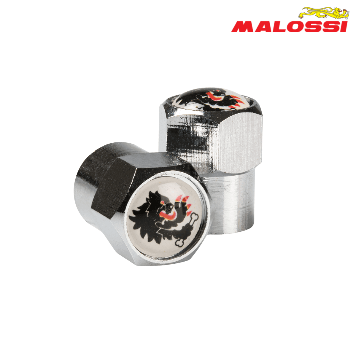 KAPACE ZIVANA SIVI SET 4213415.W0 MALOSSI*