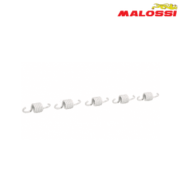 FEDERCINJA LAMELA BMW C 600 650 ORGINALNA LAMELA BELI 2917505 MALOSSI*