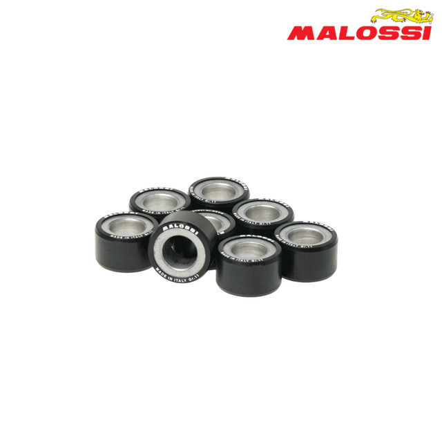 ROLNI 25X14,9-10 6613561.Z0 MALOSSI*