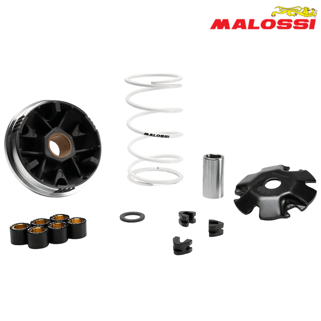 VARIJATOR SYM SYMPHONY ST 50 4T 21-> MULTIVAR 5120225 MALOSSI***