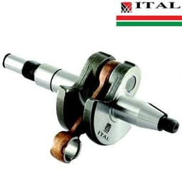 RADILICA S 017 018 MS170 F8mm ITAL*