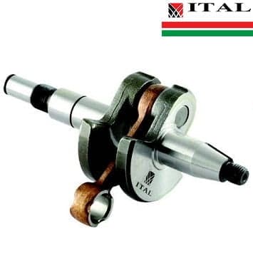 RADILICA S 017 018 MS170 F8mm ITAL*