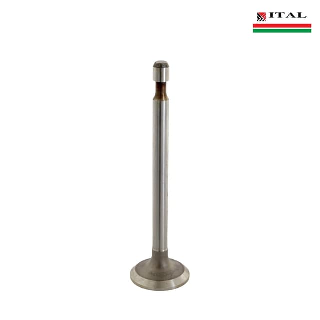 VENTIL USISEN BRIGGS & STRATTON 5 - 6 KS QUANTUM ITAL