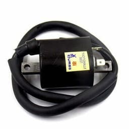 BOMBINA MALAGUTI F12 100