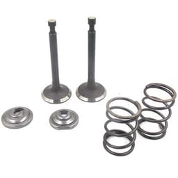 VENTILI HONDA GX 160 VODNA PUMPA 4P KIN SO FEDERI KMS+