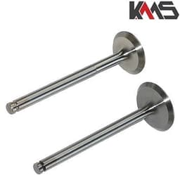 VENTILI IMT 509 LDA 450 510 KMS*