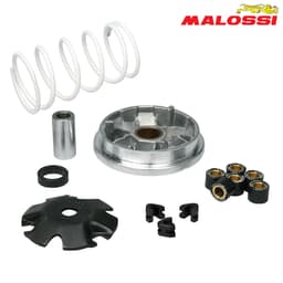 VARIJATOR PEUGEOT BUXY ELYSEO LOOXOR LUDIX SPEEDFIGHT 2 3 VIVACITY 50 2T MULTIVAR 51 8752 MALOSSI***
