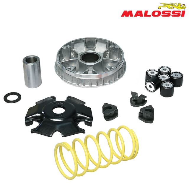 VARIJATOR PEUGEOT DJANGO LXR TWEET SYM EURO 125 SYMPHONY 125 200 MIO MULTIVAR 2000 MALOSSI***