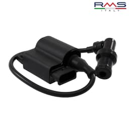 BOMBINA PIAGGIO 100 4T 246010501 RMS ITALY