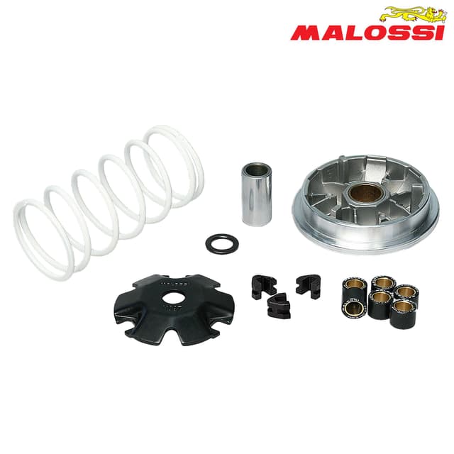 VARIJATOR PEUGEOT SPEEDFIGHT 3 TWEET SYM CROX SYMPHONY 50 4T MULTIVAR 5114206 MALOSSI*